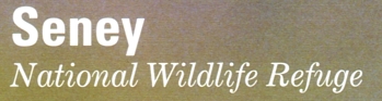 Photo of brochure for "Seney National Wildlife Refuge"
