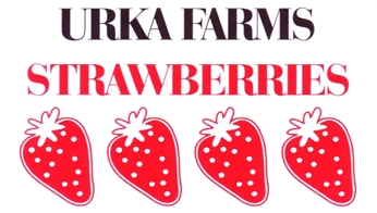 Photo of brochure for "Urka Farms Strawberries"