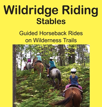 Photo of brochure for "Wildridge Riding Stables"