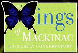 Photo of brochure for "Wings of Mackinac"