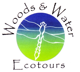 Photo of brochure for "Woods & Water Ecotours"